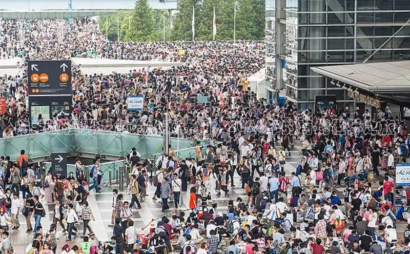 白毛动漫男主角的未来计划：2026年的奇幻世界之旅